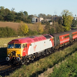 WAG Express