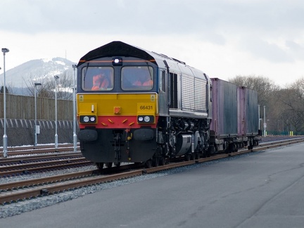66431 arrives at TIRFP