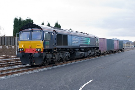 66431 at  TIRFP