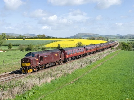 37676, 50031, D444, Wistanstow