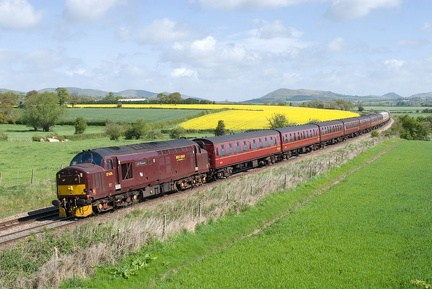 37676, 50031, D444, Wistanstow