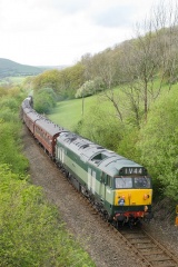 D444, Dolfach