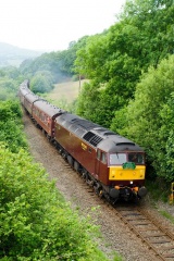 47826, Dolfach