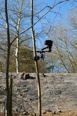 How to use a tree as a camcorder mount.