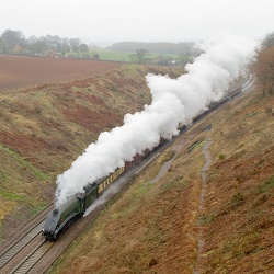 Whiteball and West Somerset Railway spring steam gala