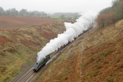 60019, Whiteball