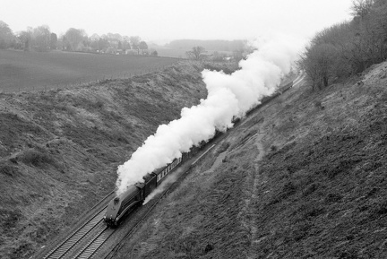60019, Whiteball