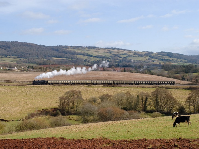 BR Class 4MT 2-6-4T no. 80104 climbs towards the summit at Crowcombe Heathfield with the 11.00 Bishop’s Lydeard to Minehead. flickr-welsh snapper-4457547696.jpg