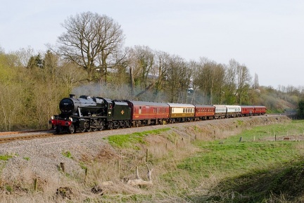 48151, Cilcewydd