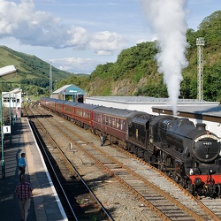 Cambrian Summer Steam, 2010