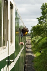 D5310
