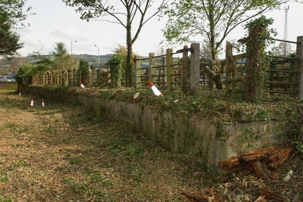 Welshpool & Llanfair Light Railway cattle pens, Welshpool